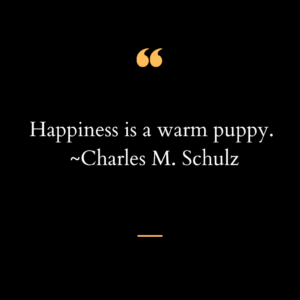 a quote by Charles Schulz