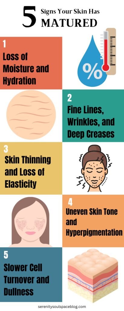 an infographic of the 5 signs of skin maturity