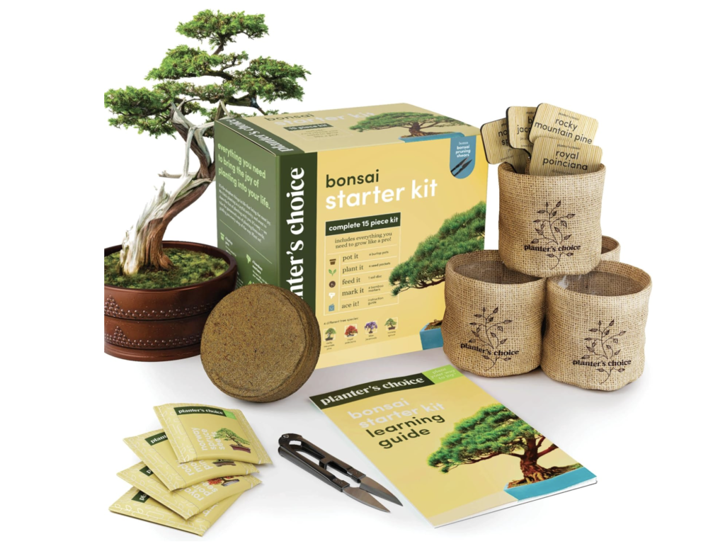 bonsai starter kit gift basket set -valentines day gift boxes for women