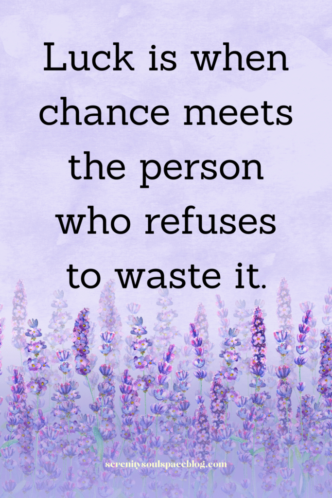 Luck is when chance meets the person who refuses to waste it.