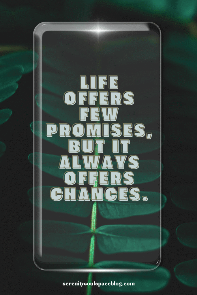 Life offers few promises, but it always offers chances.