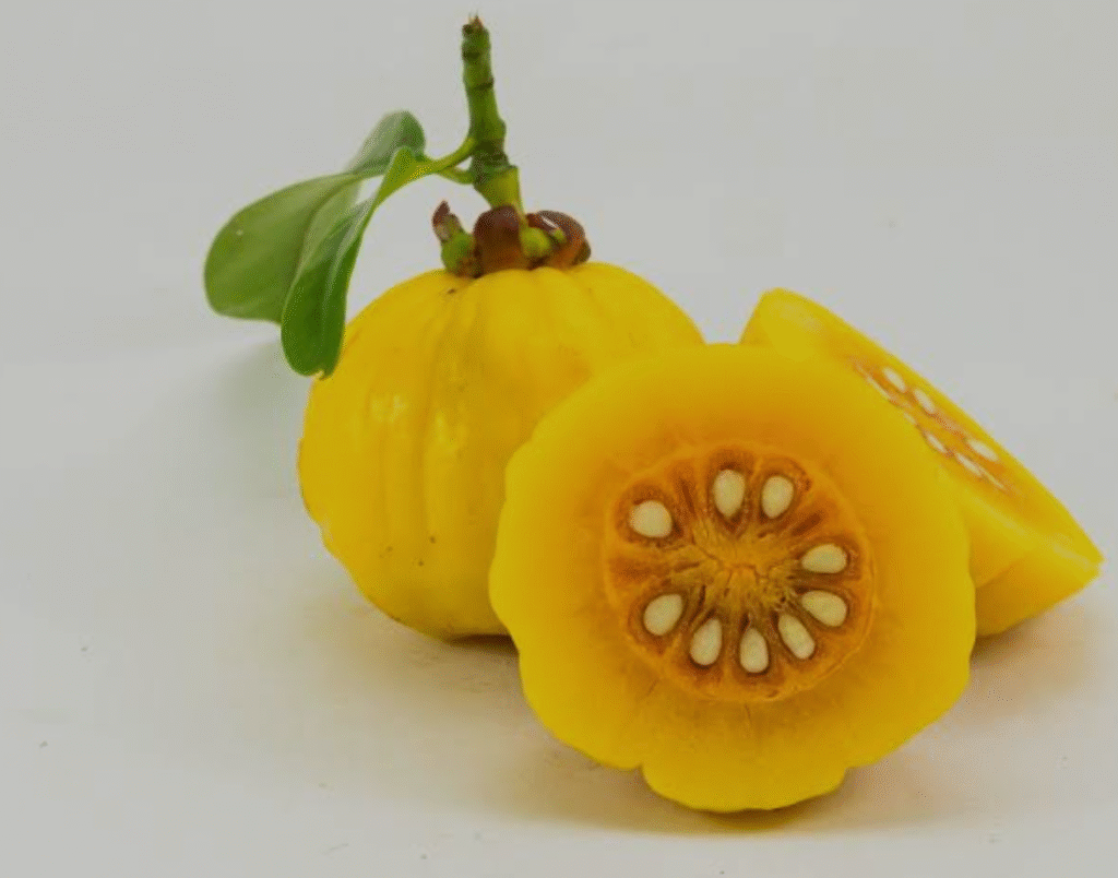 the tropical fruit - Garcinia Cambogia