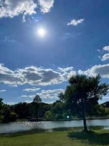 20 facts about RitaWriter - a beautiful, Texas sky in the Spring with a manmade pond below the sunny skies