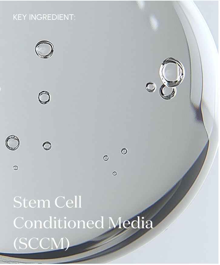 best face mist for hydration - a close up of an ingredient in symbiome's rejuvenating mist