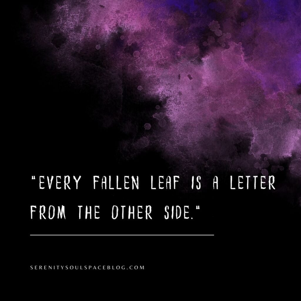 Halloween quotes aesthetic - a quote overlay on a dark purple and black background theme